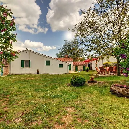 Angelina Βίλα Pićan